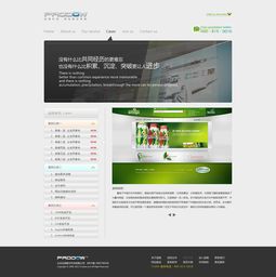品格科技企业站网页设计 构建品牌与技术的数字桥梁